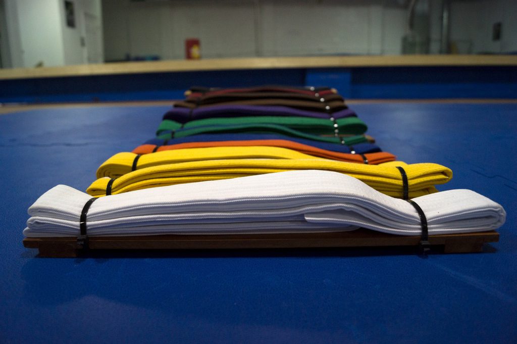 belts, colors, martial arts-2125250.jpg